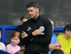 热刺对布莱顿集锦